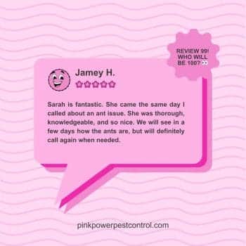 Customer review for ant control in Troy Ohio – same-day service by Pink Power Pest Control