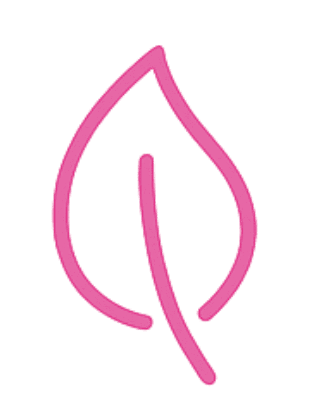 Eco-friendly cleaning products icon