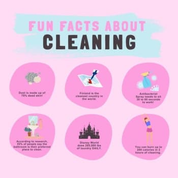Discover Surprising Facts That Make Cleaning Fun and Engaging