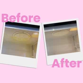 Microwave Rescue: Before and After Cleaning Transformations