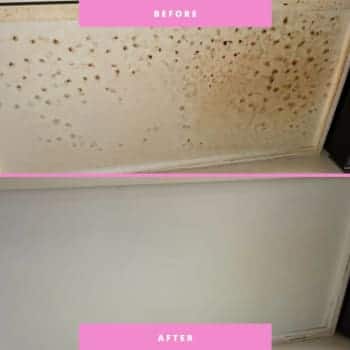 Guess the Transformation: Join Our Fun Before and After Challenge!